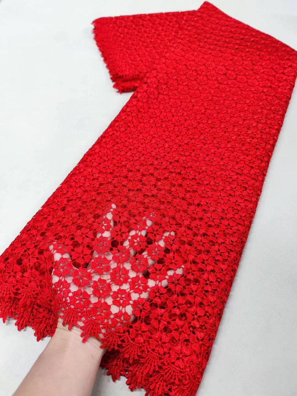 French Lace -Luxury sheer Embroidery